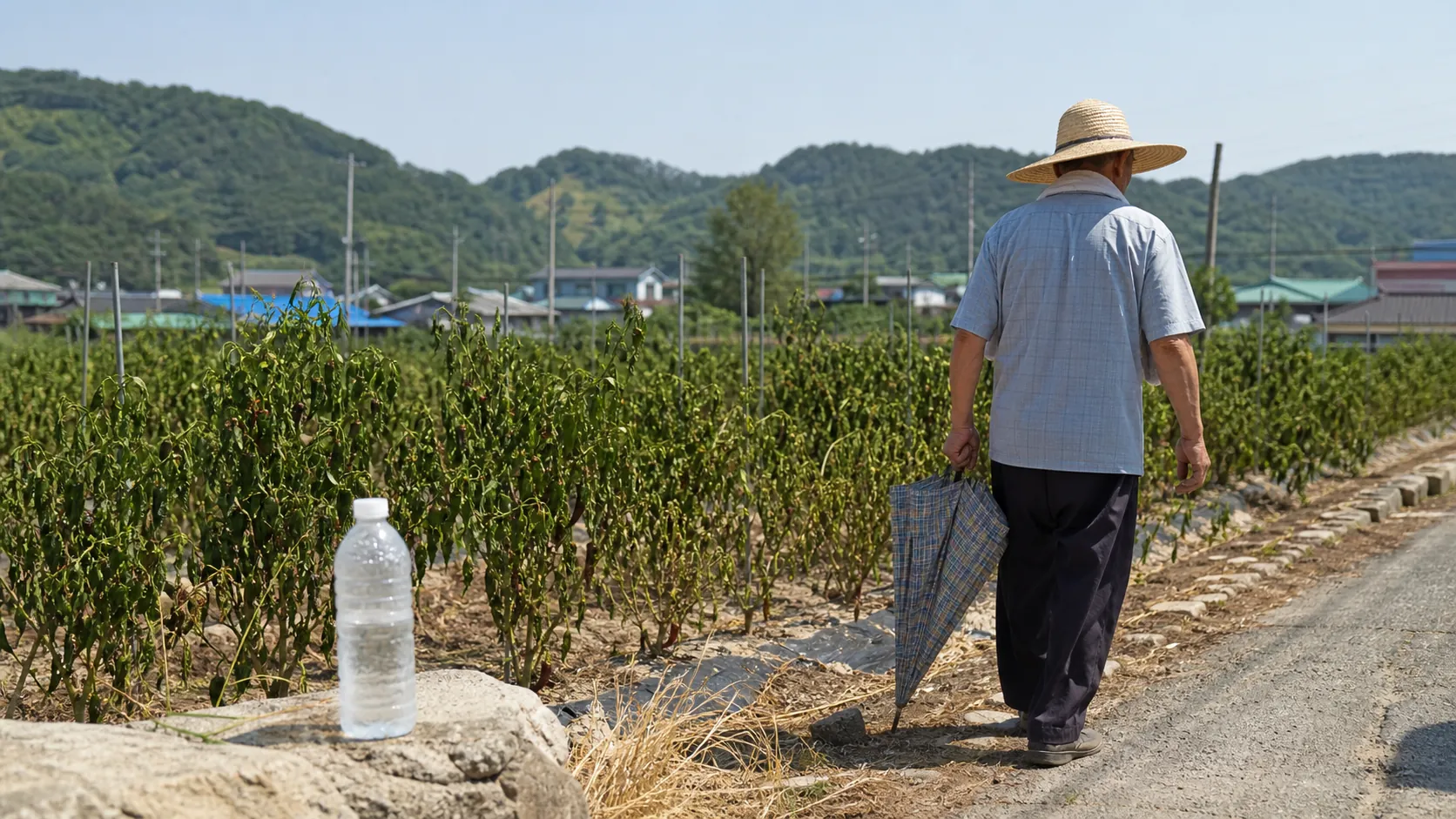충남 6개 지역 열대야 주의보 해제…태안·청양 폭염경보 지속