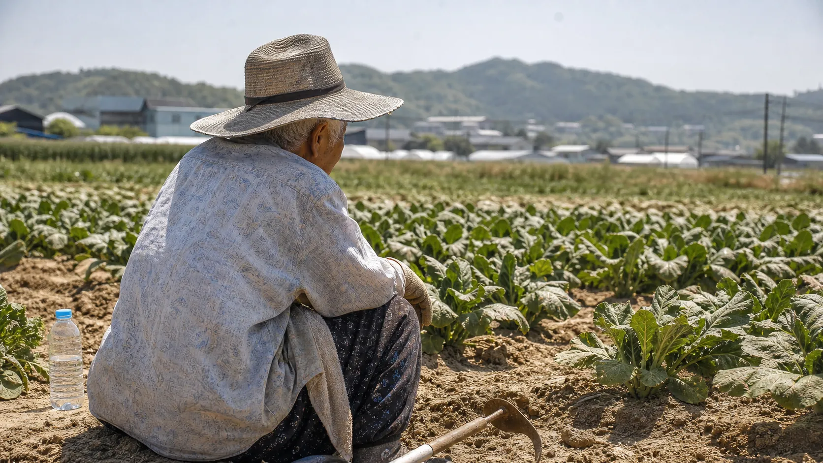 전북서 폭염 속 밭일하던 90대 숨져…온열질환 사망 2명