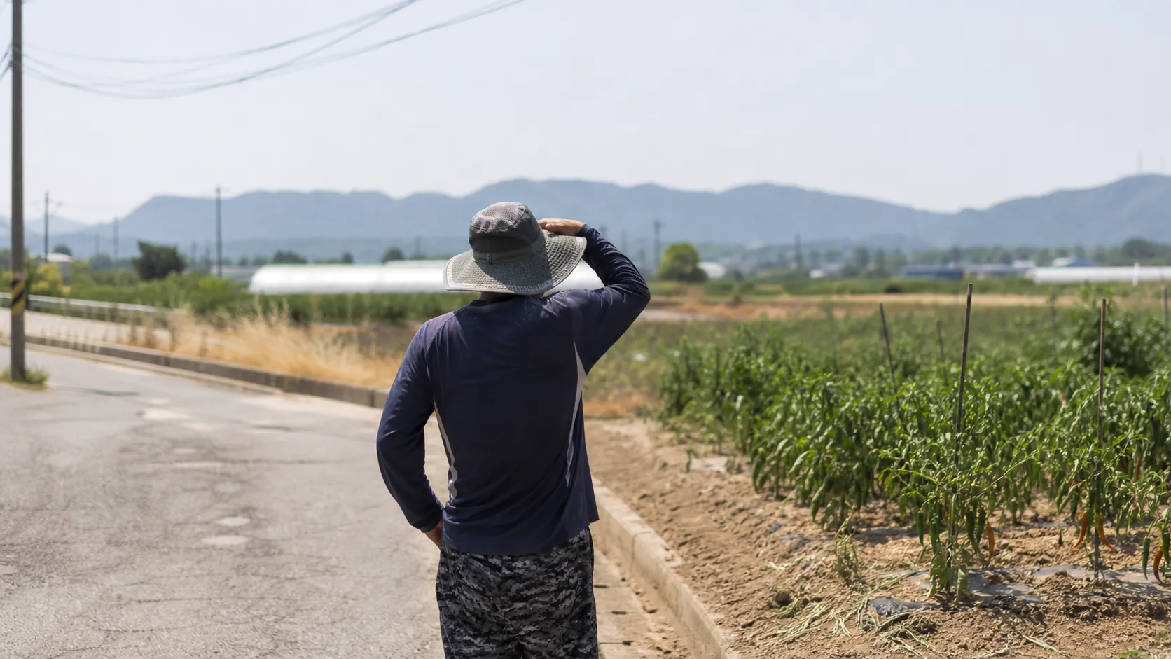 경남 양산, 이틀 연속 40도 넘는 기록적 폭염