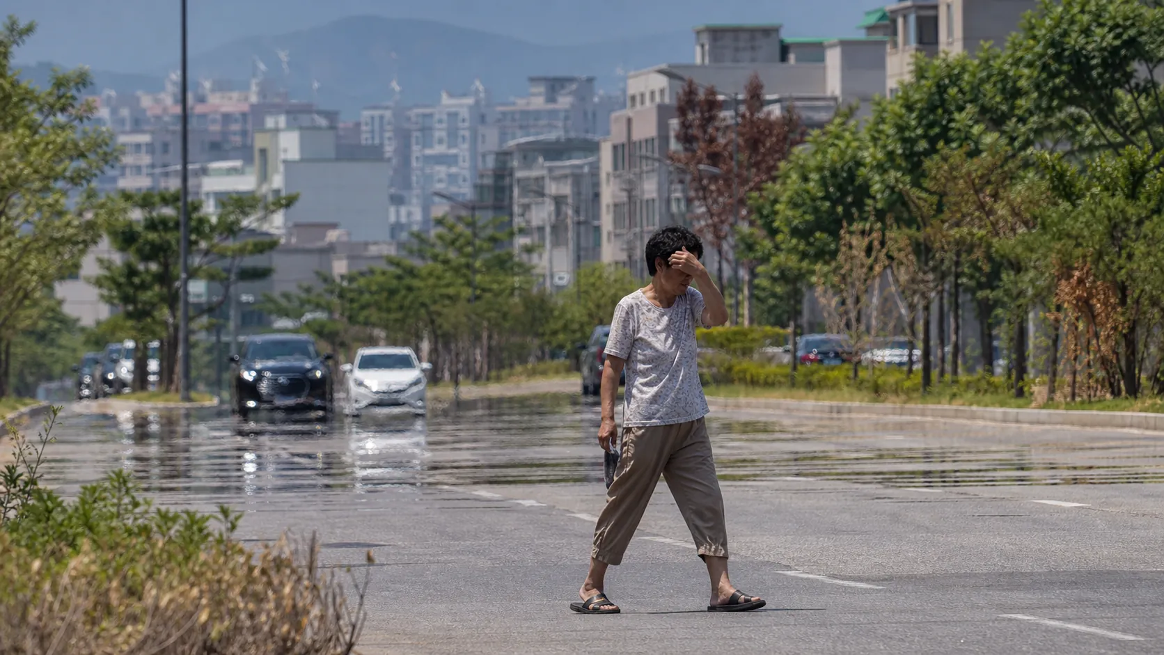 서쪽 폭염 원인·전망 확인할 취재 정보 없어