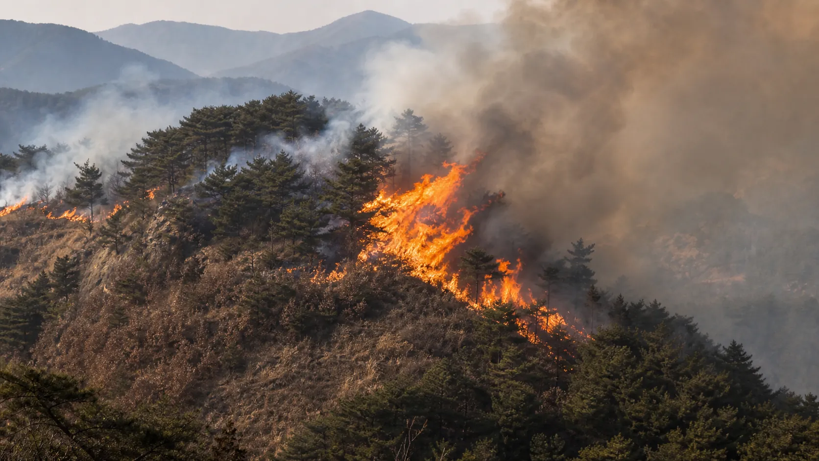 대구·경주·영주서 산불 연이어 발생