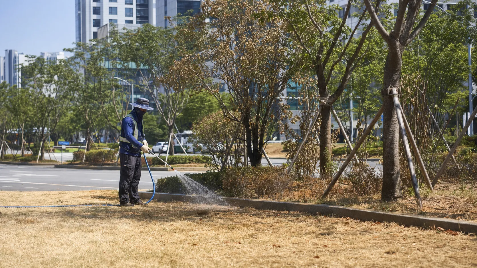창원 도심 녹지 폭염 피해…물 공급 확대