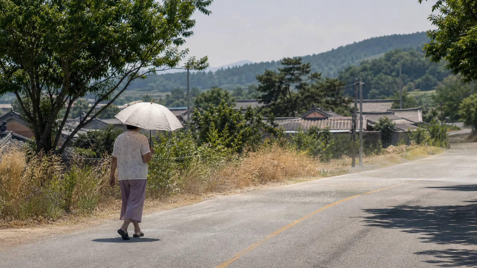 데뷔 직전 이탈한 일본인 연습생 사기 혐의 송치