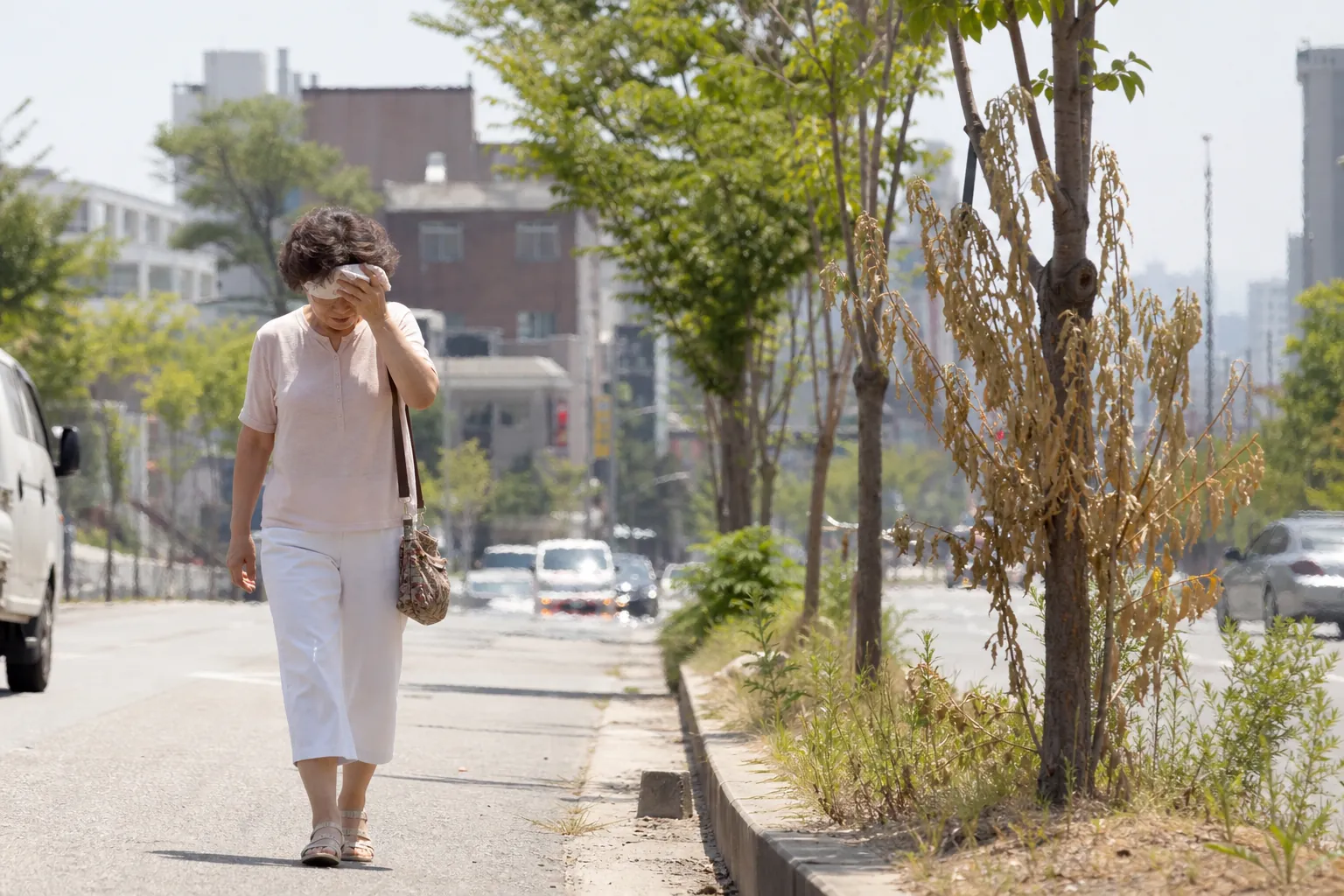 전주 39도 치솟아 전북 첫 폭염중대경보